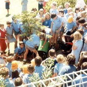 Tree planting – 1986